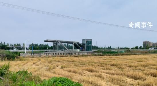 投2亿建的地铁站成“孤岛” 地铁站周边杂草丛生附近居民绕道而行