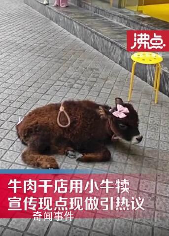 牛肉干店把牛犊拴门口吆喝现点现做 网友纷纷对此表示谴责