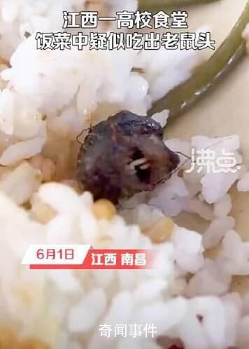 高校鼠头涉事窗口几乎没人去吃饭 多部门澄清高校食堂吃出老鼠头