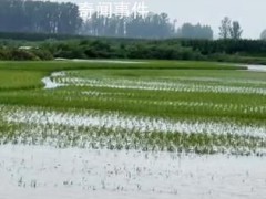 暴雨洪水侵袭黑龙江吉林农业带 五常：部分村屯积水严重【图文】