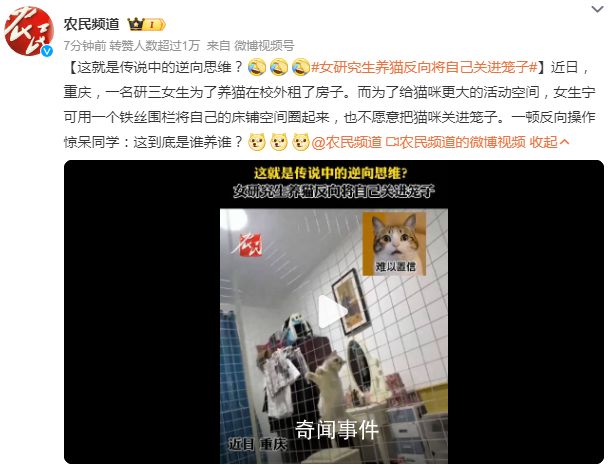 女研究生养猫反向将自己关进笼子 这到底是谁养谁