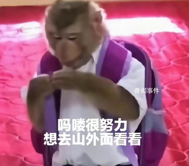 “吗喽”占领了年轻人的生活圈